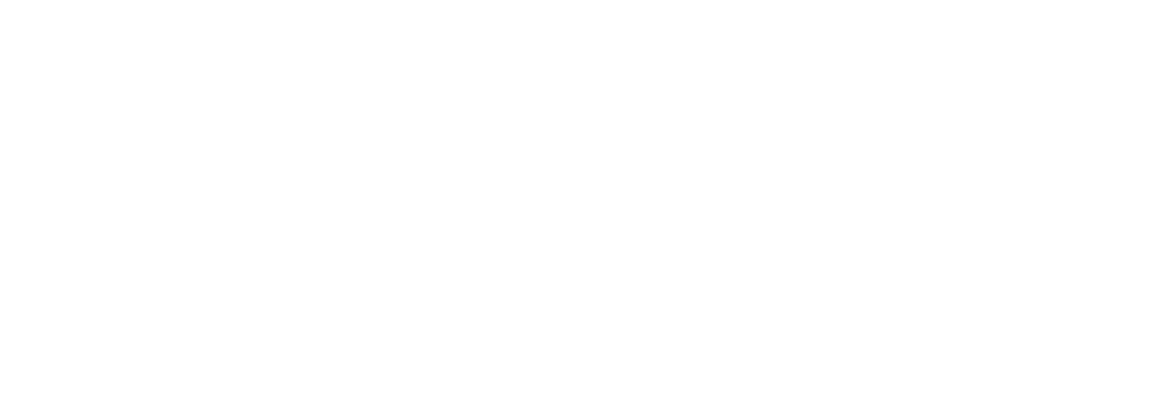 DE Systems